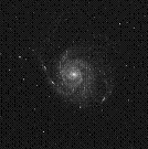 M101