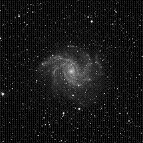NGC-6946